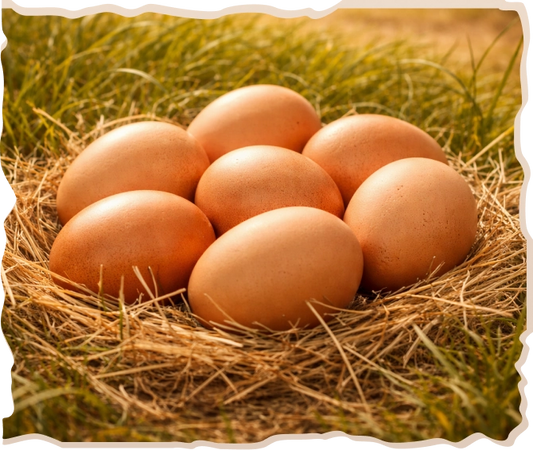 Organic Eggs